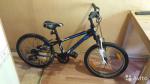  TREK Cali   3